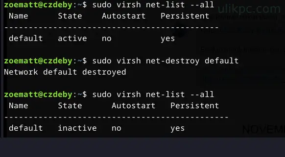activate disable network debian KVM