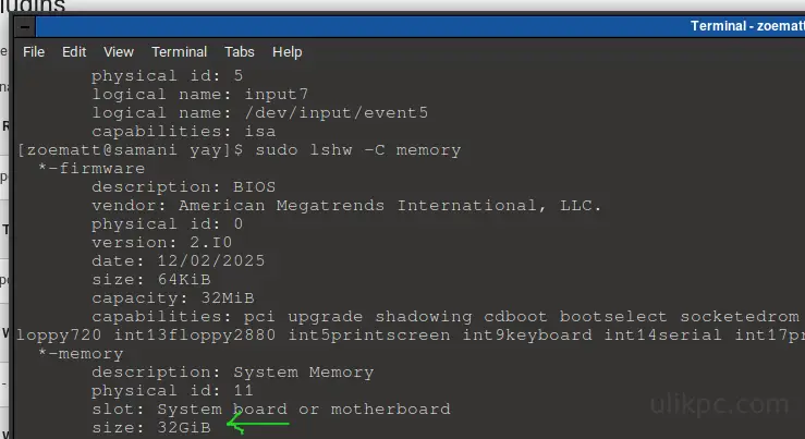 cek total memori linux debian arch ubuntu mint