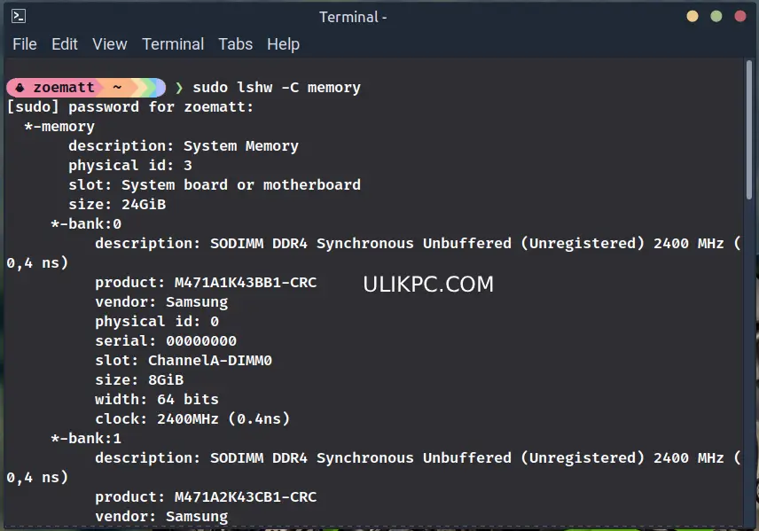 cek memori ram di Linux Mint